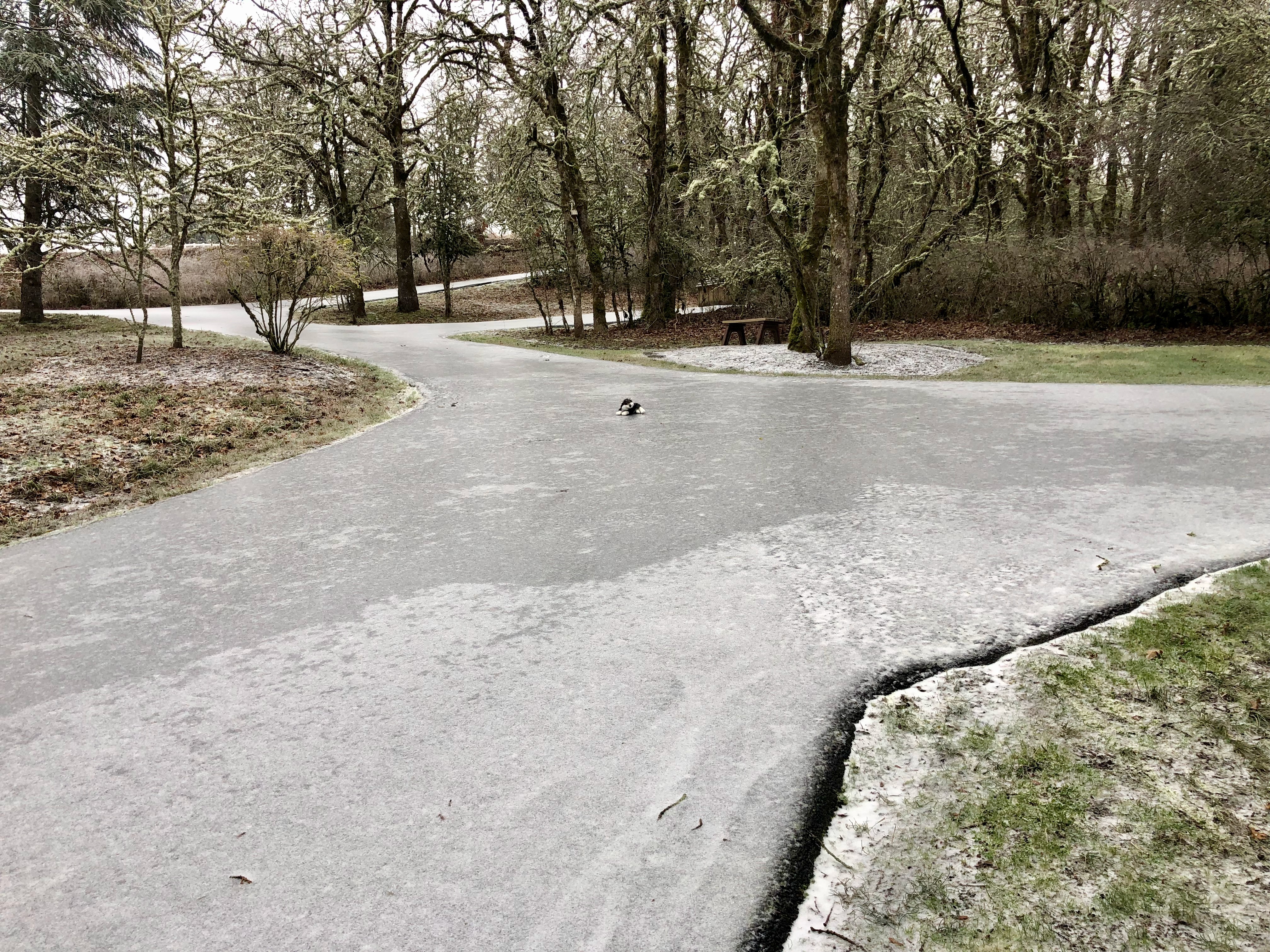 Freezing rain 1 Freezing rain 1