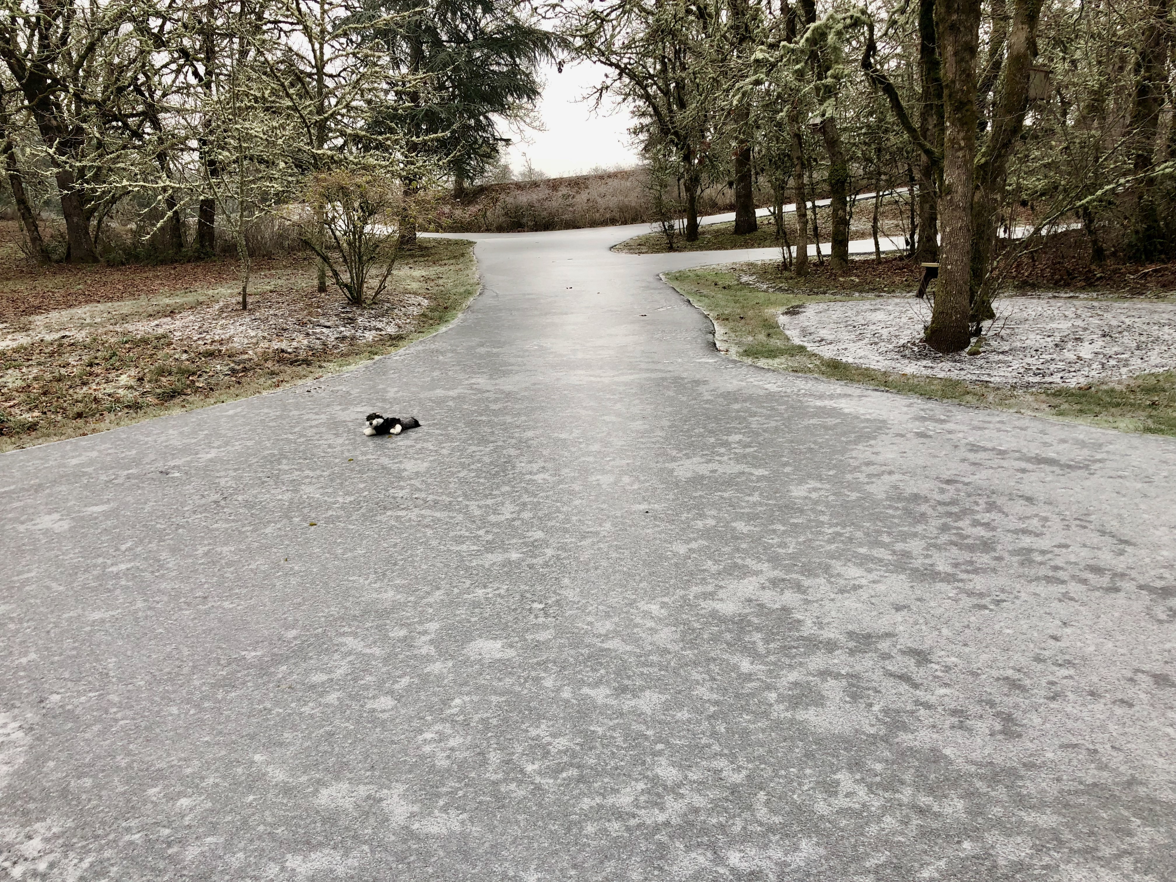 Freezing rain 2 Freezing rain 2